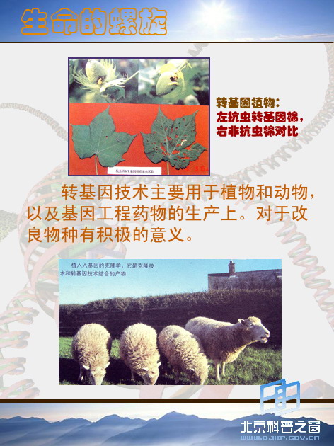 �������������壩