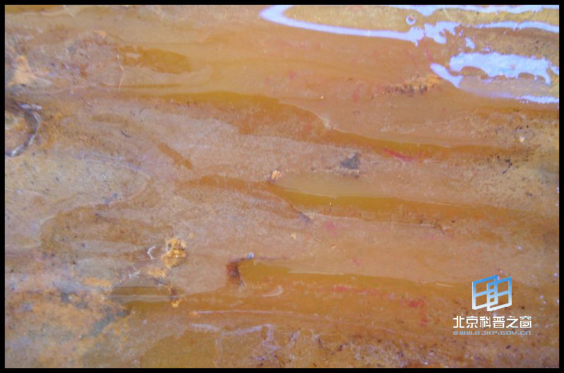 ��ʯ�³衪�������ġ������񡱣�����