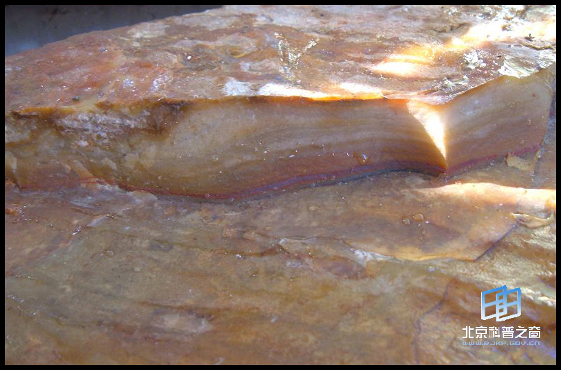 ��ʯ�³衪�������ġ������񡱣�����