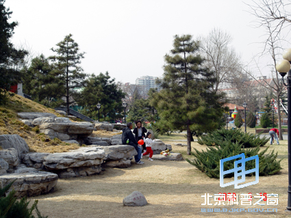 ��Ȼ��ɫ���ģ�