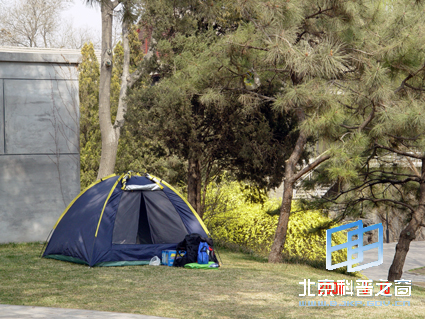 ��Ȼ��ɫ��һ��