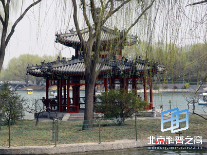 ��Ȼ��ɫ������