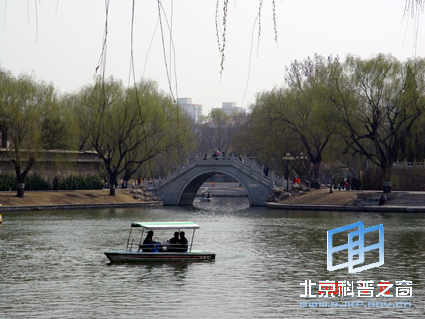 ��Ȼ��ɫ��һ��