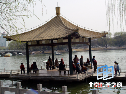 ��Ȼ��ɫ������