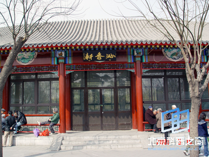 ��Ȼ��ɫ������