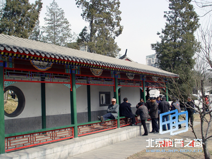 ��Ȼ��ɫ������