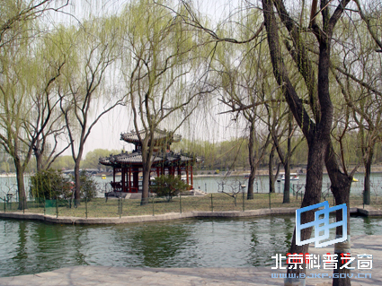 ��Ȼ��ɫ������