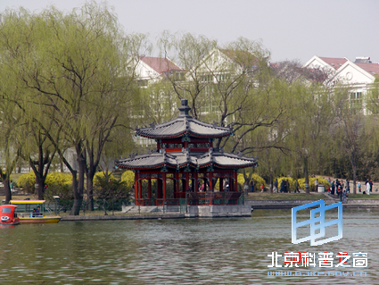 ��Ȼ��ɫ������