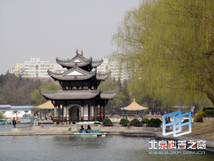 ��Ȼ��ɫ������