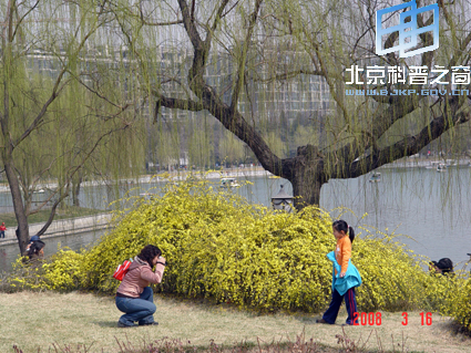 ��Ȼ��ɫ��һ��