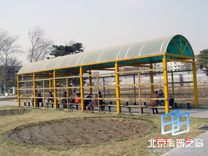 ��Ȼ��ɫ���ģ�