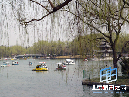 ��Ȼ��ɫ��һ��