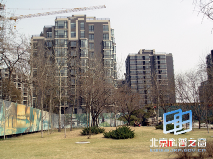 ��Ȼ��ɫ���壩