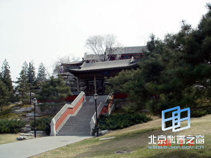 ��Ȼ��ɫ������