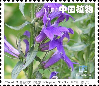 �������ͼ