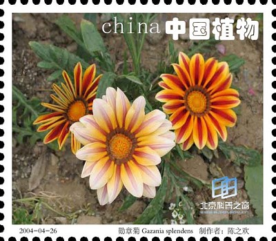 �������ͼ