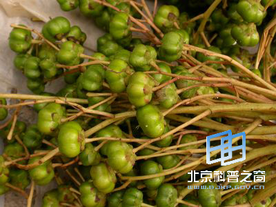 ��Ե��ˮͬľ��ˮ����