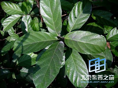 ��Ե��ˮͬľ��ˮ����