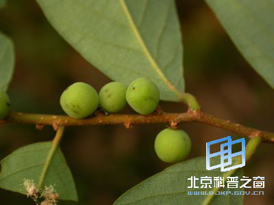 ���������--������