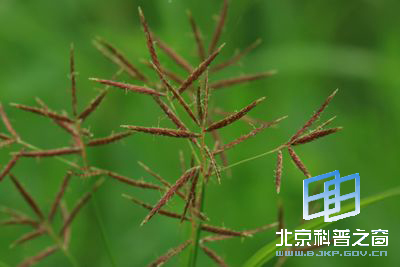 ����Ҳ���㸽��