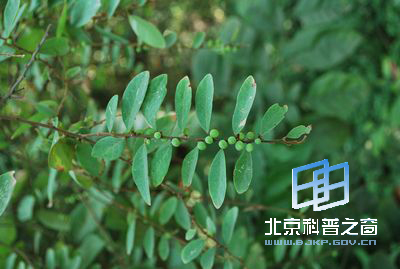 ���������--������