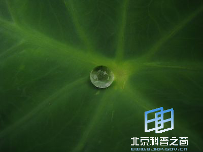 �뷬����������