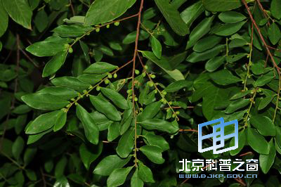 ���������--������