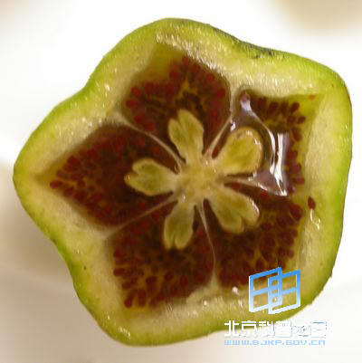 ��Ե��ˮͬľ��ˮ����