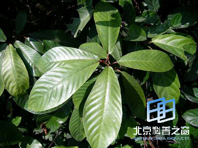 ��Ե��ˮͬľ��ˮ����