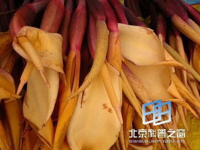 �뷬����������