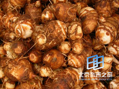 �뷬����������