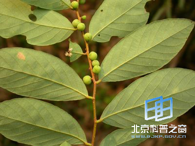 ���������--������