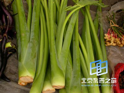 �뷬����������