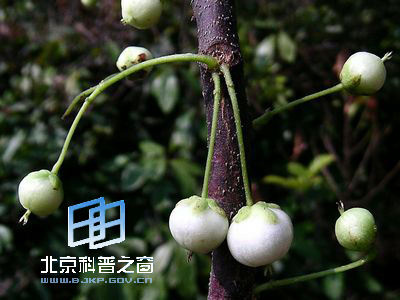 ��Ե��ˮͬľ��ˮ����