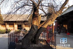 �������ͼ