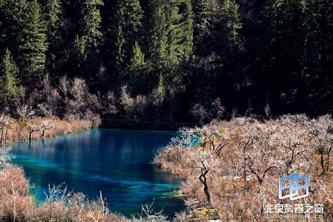 �������ͼ