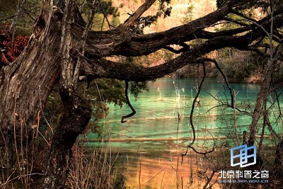 �������ͼ