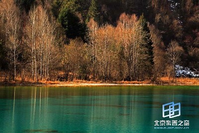 �������ͼ