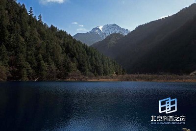 �������ͼ