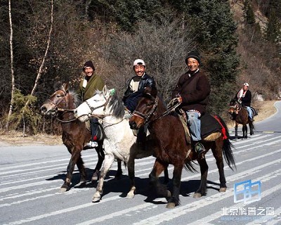 �������ͼ