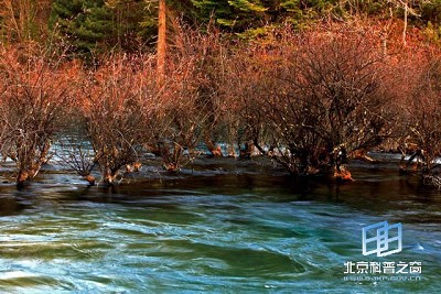 �������ͼ